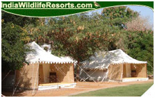 Sher Bagh Resort, Ranthambore National PArk