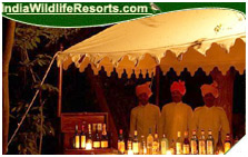 Sher Bagh Resort, Ranthambore National PArk