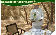 Sher Bagh Resort, Ranthambore National PArk