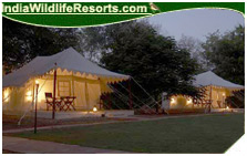 Sher Bagh Resort, Ranthambore National PArk