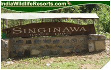 singinawa jungle lodge