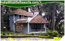 Tall Tree Resort, Eravikulam National Park