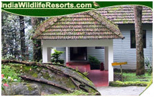 Tall Tree Resort, Eravikulam National Park