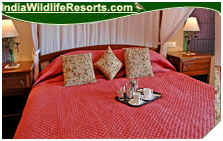 the baagh resort