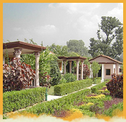 Tiger Den Resort, Bandhavgarh National Park