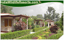 Tiger Den Resort, Bandhavgarh