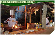 Tiger Den Resort, Bandhavgarh