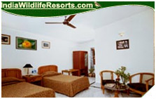 Tiger Den Resort, Bandhavgarh