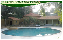 Tiger Den Resort, Bandhavgarh