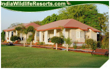 Tiger Den Resort, Ranthambore National Park