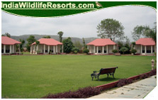 Tiger Den Resort, Ranthambore National Park