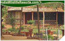 Tiger Moon Resort, Ranthambore National Park