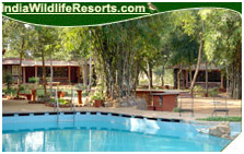 Tiger Moon Resort, Ranthambore National Park