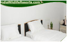 Hornbill Camp