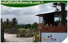 Hornbill Camp