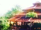 Tiger Tops Lodge