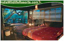 Tree House Hideaway Resort, Bandhavgarh