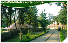 Tuli Tiger Resort, Kanha National Park