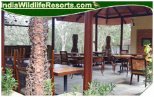 Tusker Trails Resort