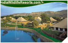 Vanya Vilas Resort,Ranthambore National Park