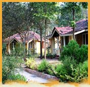 Wild Chalet Resort, Kanha National Park