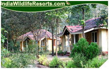 Wild Chalet Resort, Kanha National Park