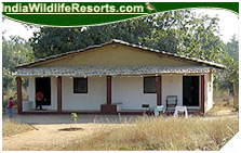 Wild Haven Resort, Bandhavgarh National Park