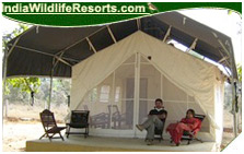 Wild Haven Resort, Bandhavgarh National Park