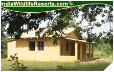 Wild Haven Resort, Bandhavgarh National Park