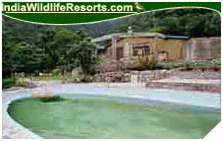 Wild Safari Lodge