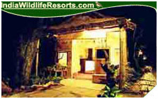 Wild Safari Lodge