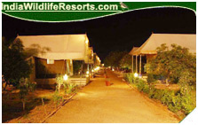 Wonderland Resort, Gir