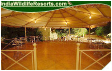 Wonderland Resort, Gir