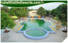 Wonderland Resort, Gir